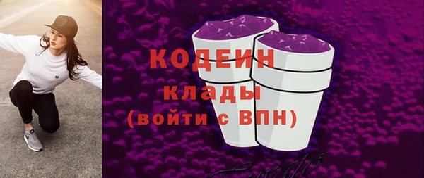 прущий лед Лагань