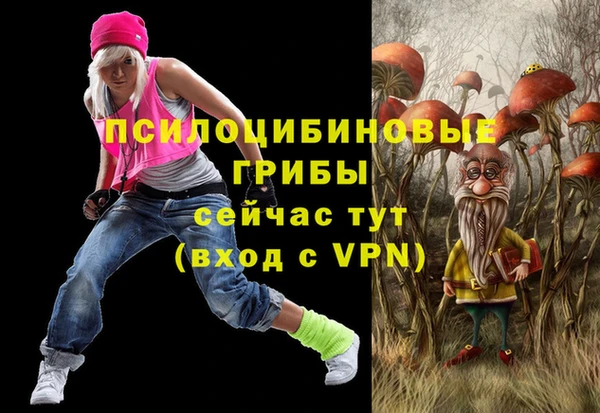 ECSTASY Липки