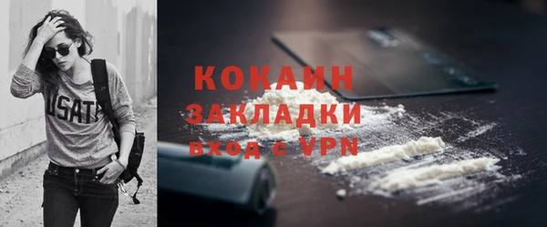 хмурый Ладушкин