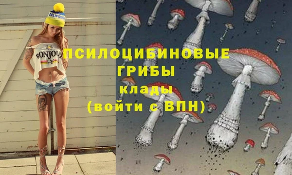 амфетамин Лабытнанги
