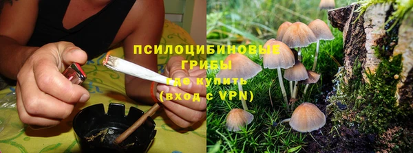хмурый Ладушкин