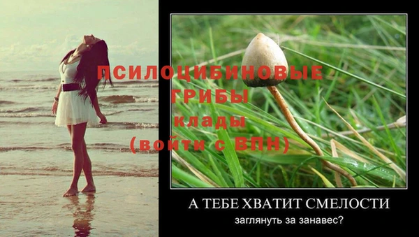 амфетамин Лабытнанги