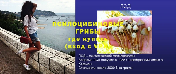 хмурый Ладушкин