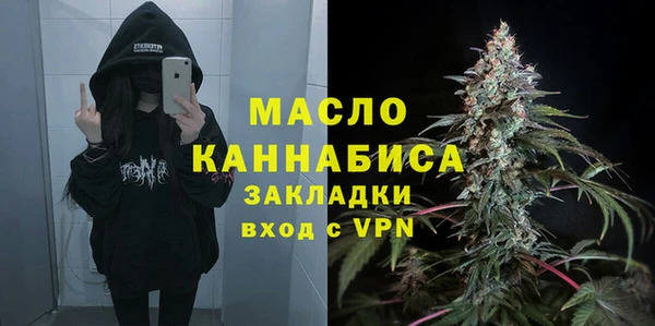 хмурый Ладушкин