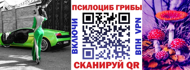 Купить где  Костерёво  Псилоцибиновые грибы ЛСД 